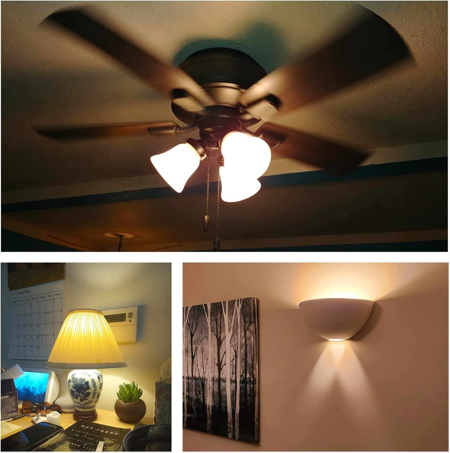 Dimmable LED 3W Small Light Bulb, 25w Equivalent E26 Standard Screw Base, G40 Soft Warm White 2700K 260lm Frosted Lights Bulb for Bathroom, Bedroom, Table Lamp Bulb, Bedside Accent Pack of 6