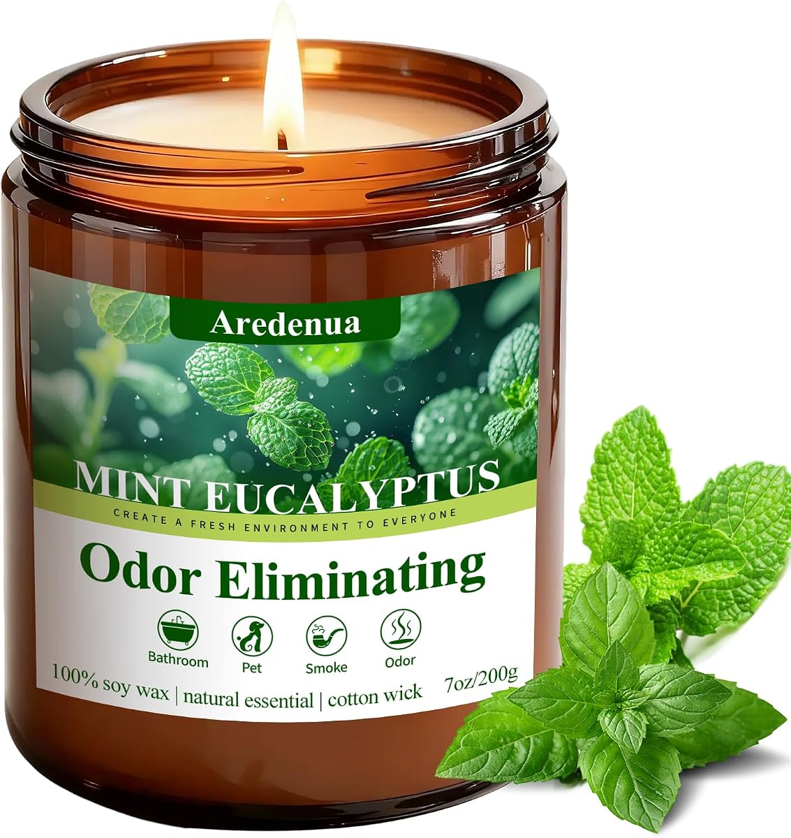 Eucalyptus Candle