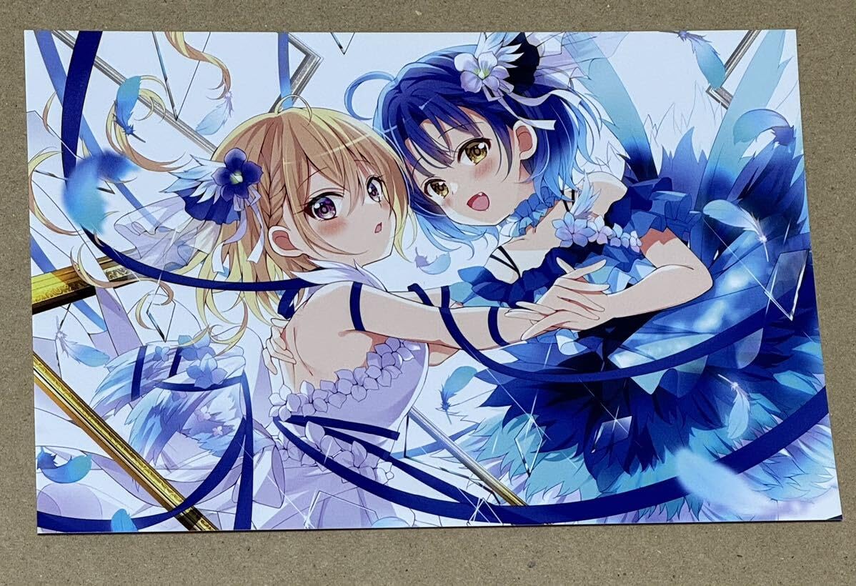 Amazon.co.jp: ご注文はうさぎですか？ 12巻 ーグー 特典 ポスト