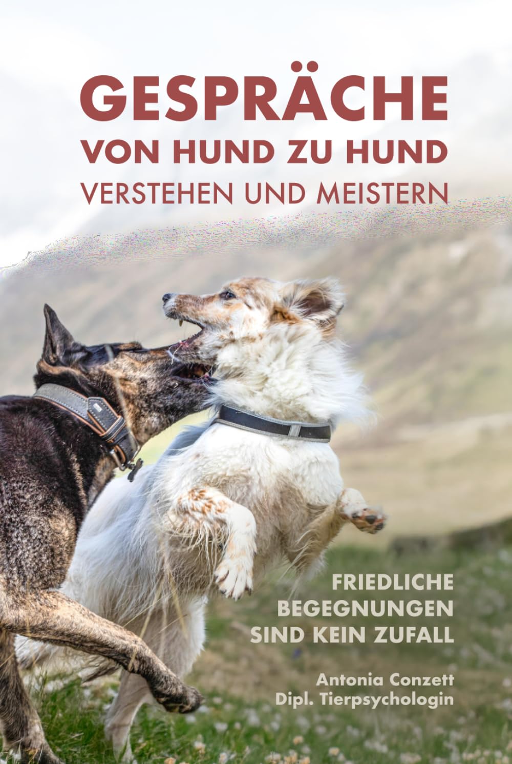 Gespräche von Hund zu Hund verstehen und meistern - Friedliche Begegnungen sind kein Zufall