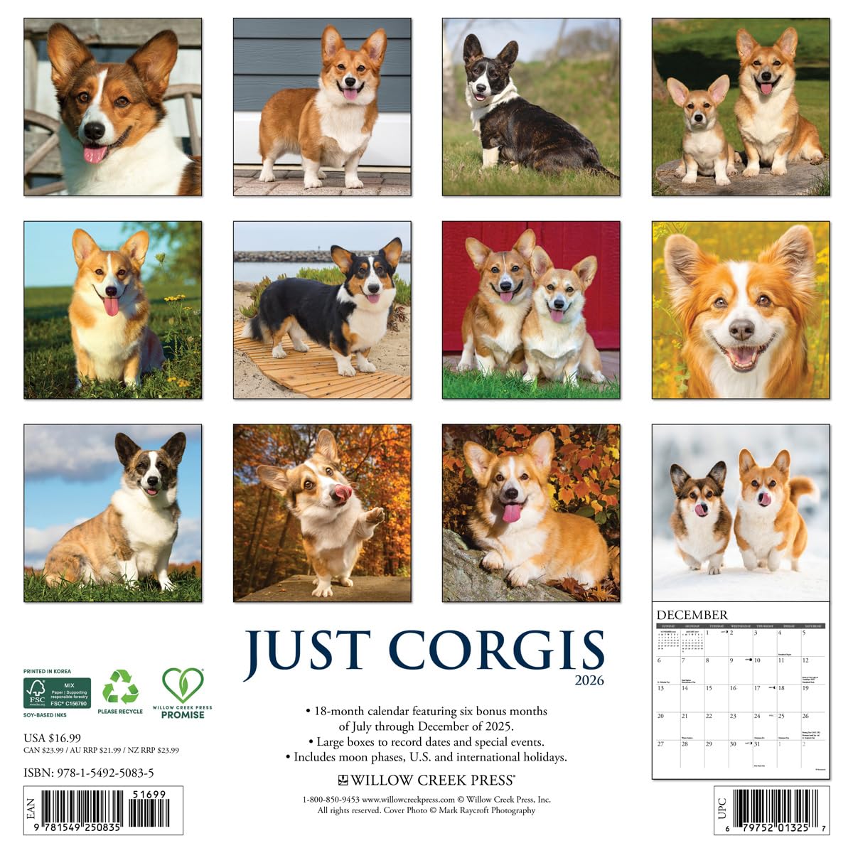 Corgis 2026 12 X 12 Wall Calendar
