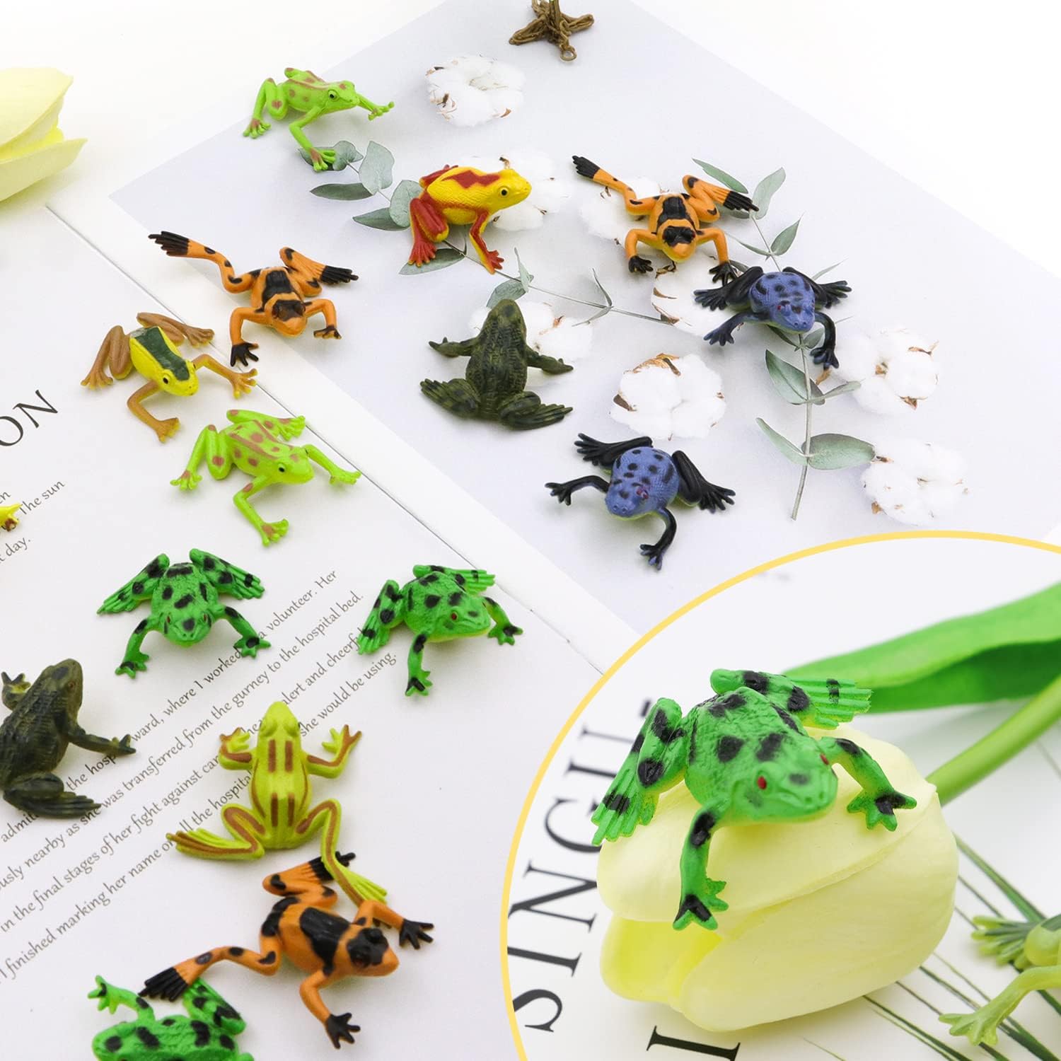 60Pcs Realistic Frogs Animal Frog Bullfrog Model Plastic Frogs Toy Figures for Game Party Favor Home Garden Decor or Gifts(12 Different Types