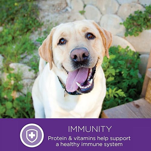 Miniatura 12 de Alimento seco natural para perro, Wellness Complete Health , Azul, Amarillo