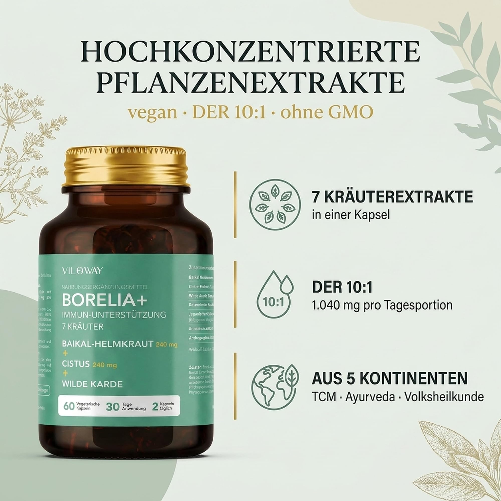 Borelia+ 7-Kräuter Komplex hochdosiert - Zistrose, Baikal-Helmkraut, Andrographis, Katzenkralle, Wilde Karde & Polygonum - DER 10:1 Extrakte mit Baicalin - 60 vegane Kapseln