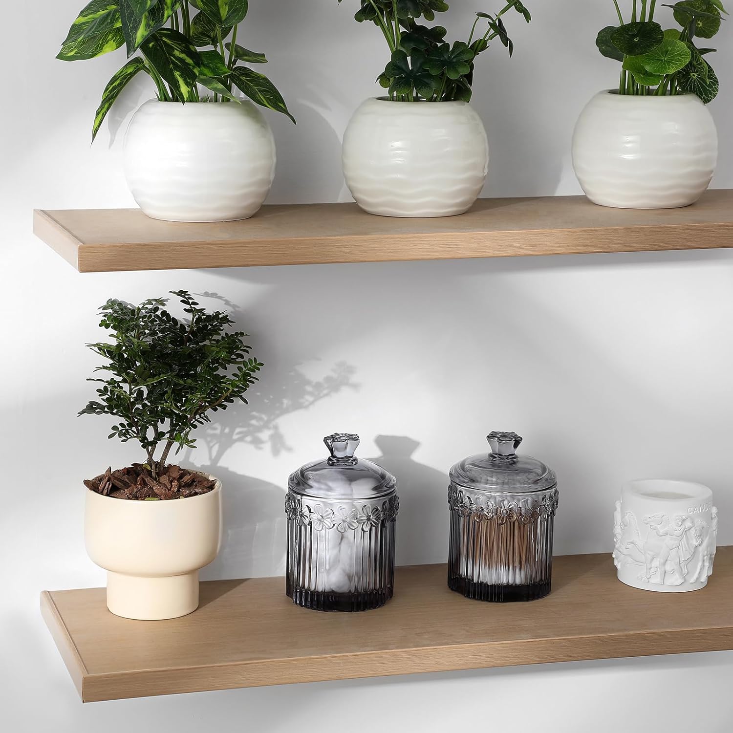 rejomiik Qtip Holder Glass Apothecary Jars with Lids Bathroom Accessories Vanity Organizers