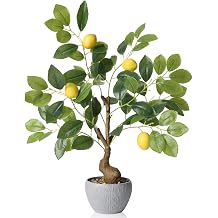 KAIRNE Artificial Lemons Decorations,17.7 Tall Lemon Tree Potted Plants,Real Like Lemons Tree with White Pot,Realistic Decorative Plants Indoor Table Decor, Fake Lemon for Kitchen Bathroom Decor