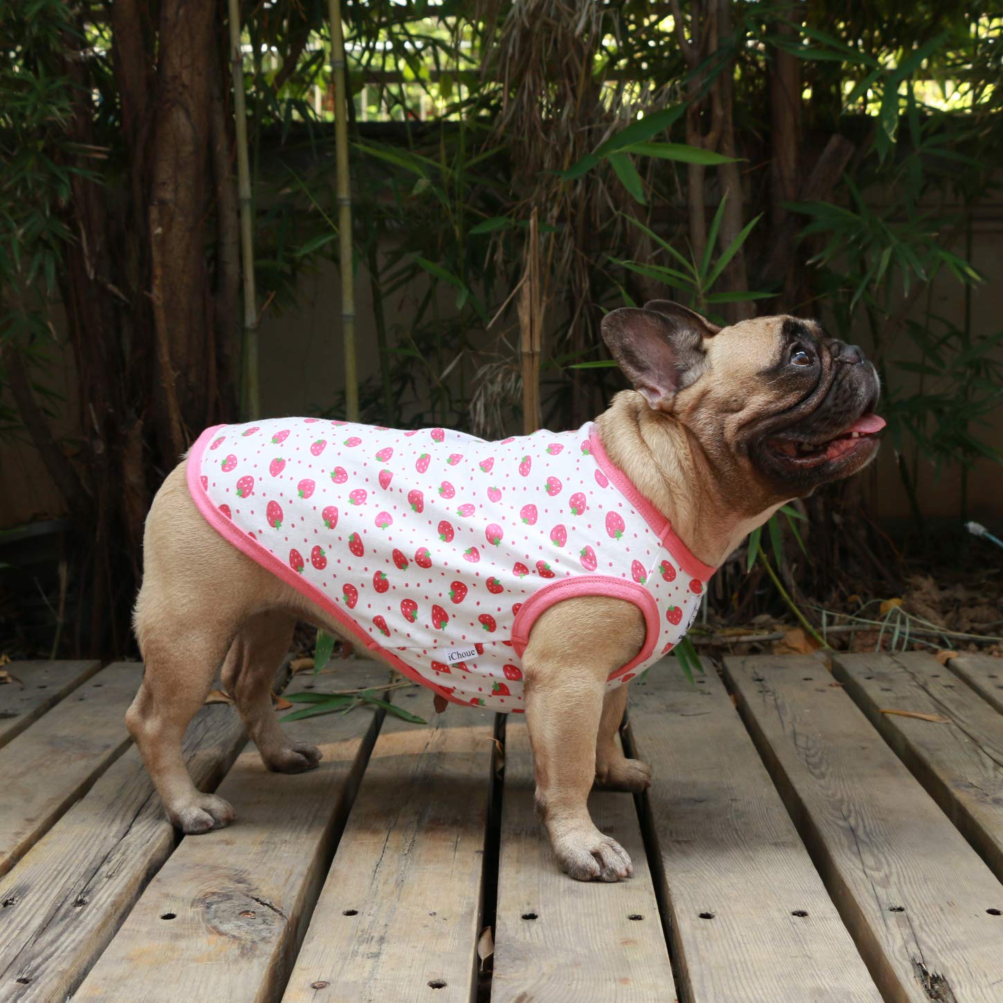 iChoue French Bulldog Cartoon T Shirts Cute Clothes for Medium Dogs Vest Tank Tops Large Frenchie Pug English Boston Terrier Pitbull Strawberry - Image 3