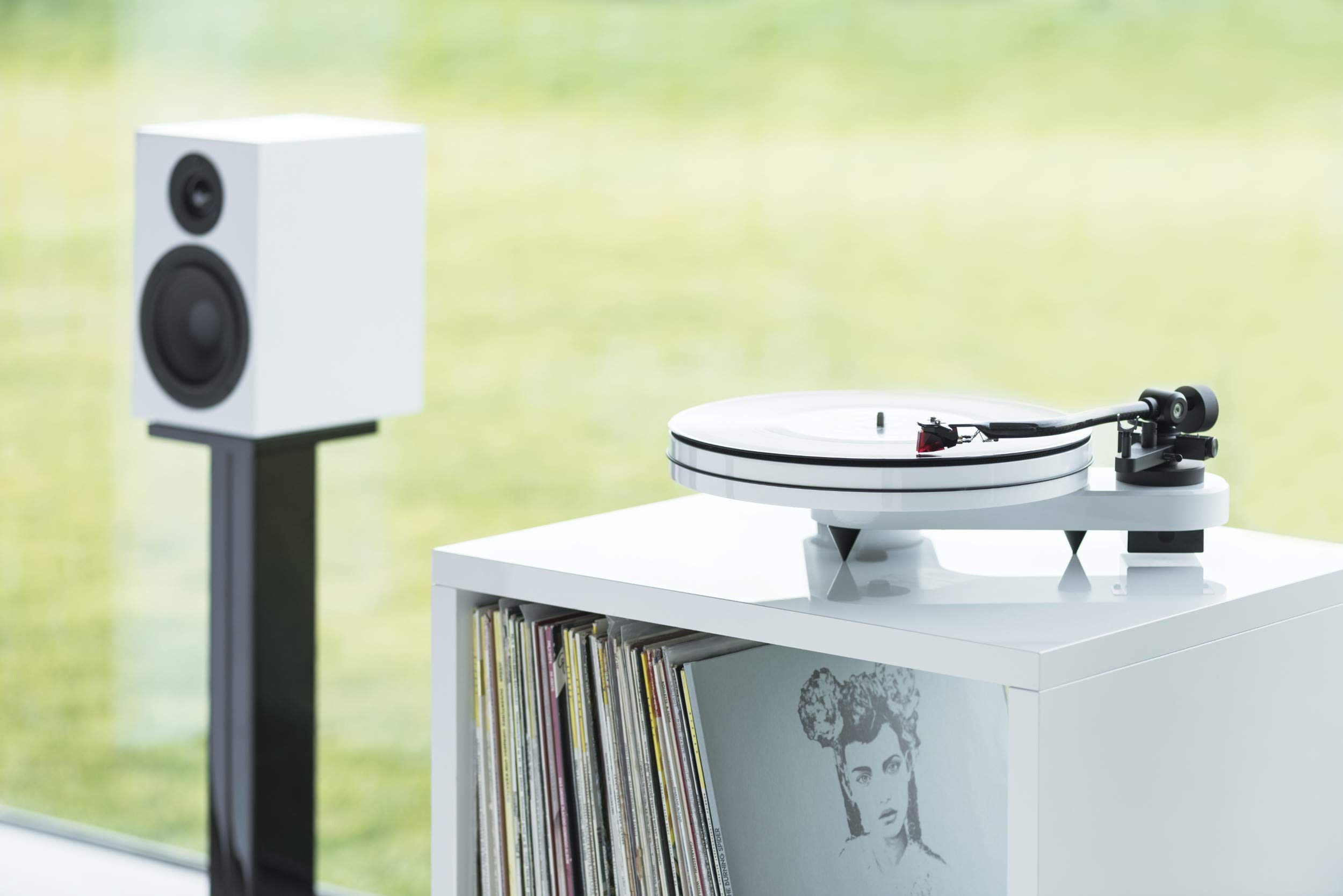 Pro-ject acryl-it RPM 1 CARBON Placa ACTUALIZACIÓN