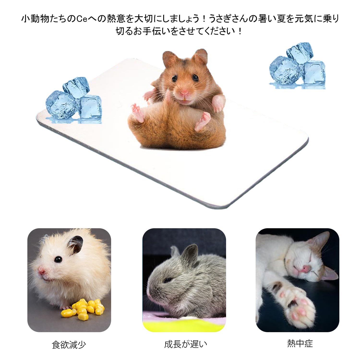 Amazon | うさぎ ひんやりプレート アルミプレート ペット涼感プレート