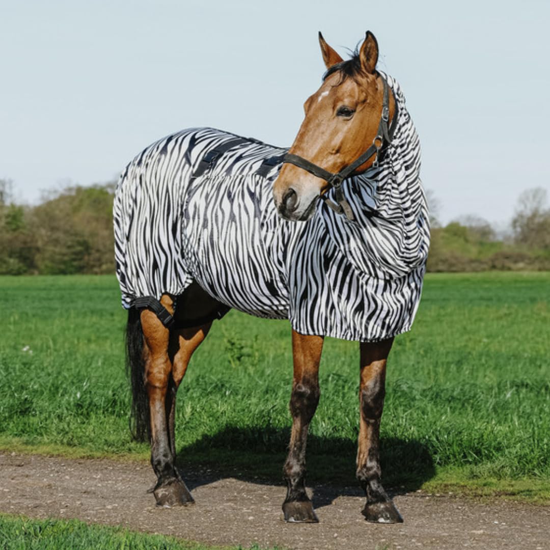 Riding World - Ekzemerdecke Zebra | Fliegendecke mit abschwitzender Wirkung | Pferdedecke mit Bauchlatz & verstellbaren Riemen & Bändern | Abschwitzdecke Pferd & Pony | Stalldecke Zebra-Look | 145 cm