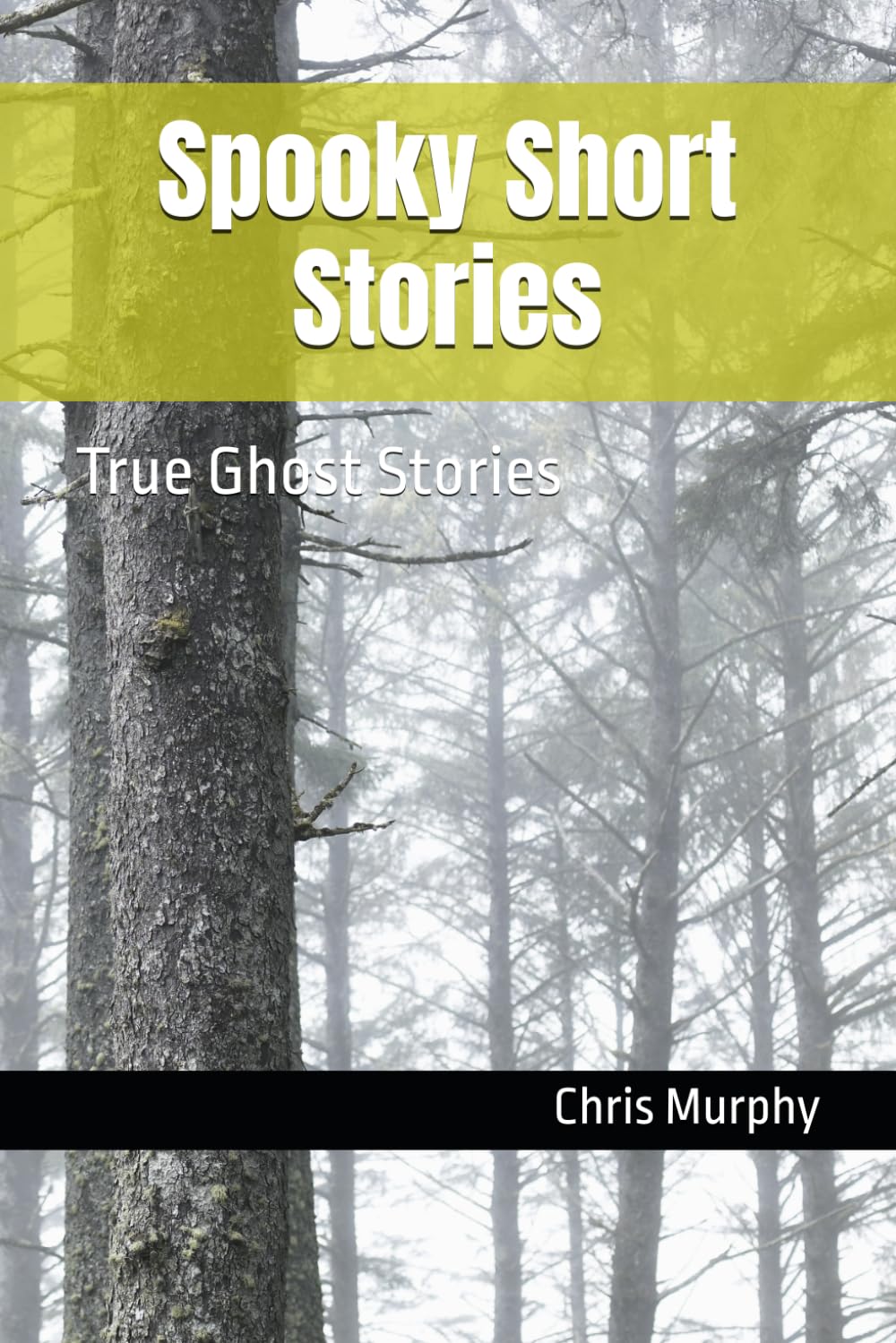 Spooky Short Stories: True Ghost Stories (Ghost Story Collection)