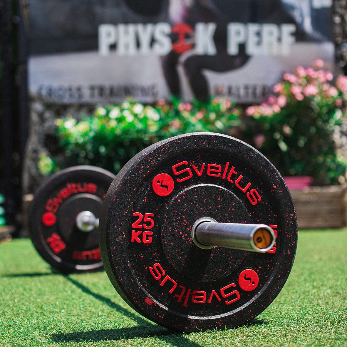 Disque olympique bumper 25 kg x1