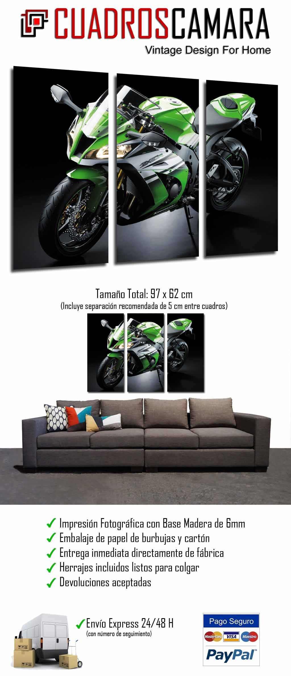 Contemporary Wall Painting fotografico Moto Kawasaki ZX-10R Green