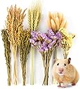 Sukh 60Pcs Nature Flower Herb Hamster Bedding - Cage Enclosure Habitat Decor Mate Small Animal Natural Ear of Grain Sprays for Syrian Dwarf Hamsters Gerbils Rabbit Other Pets