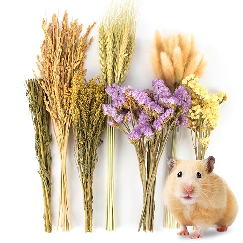 Sukh 60Pcs Nature Flower Herb Hamster Bedding - Cage Enclosure
