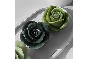 2-Pack Silicone Sugar Mold Candles And Inserts