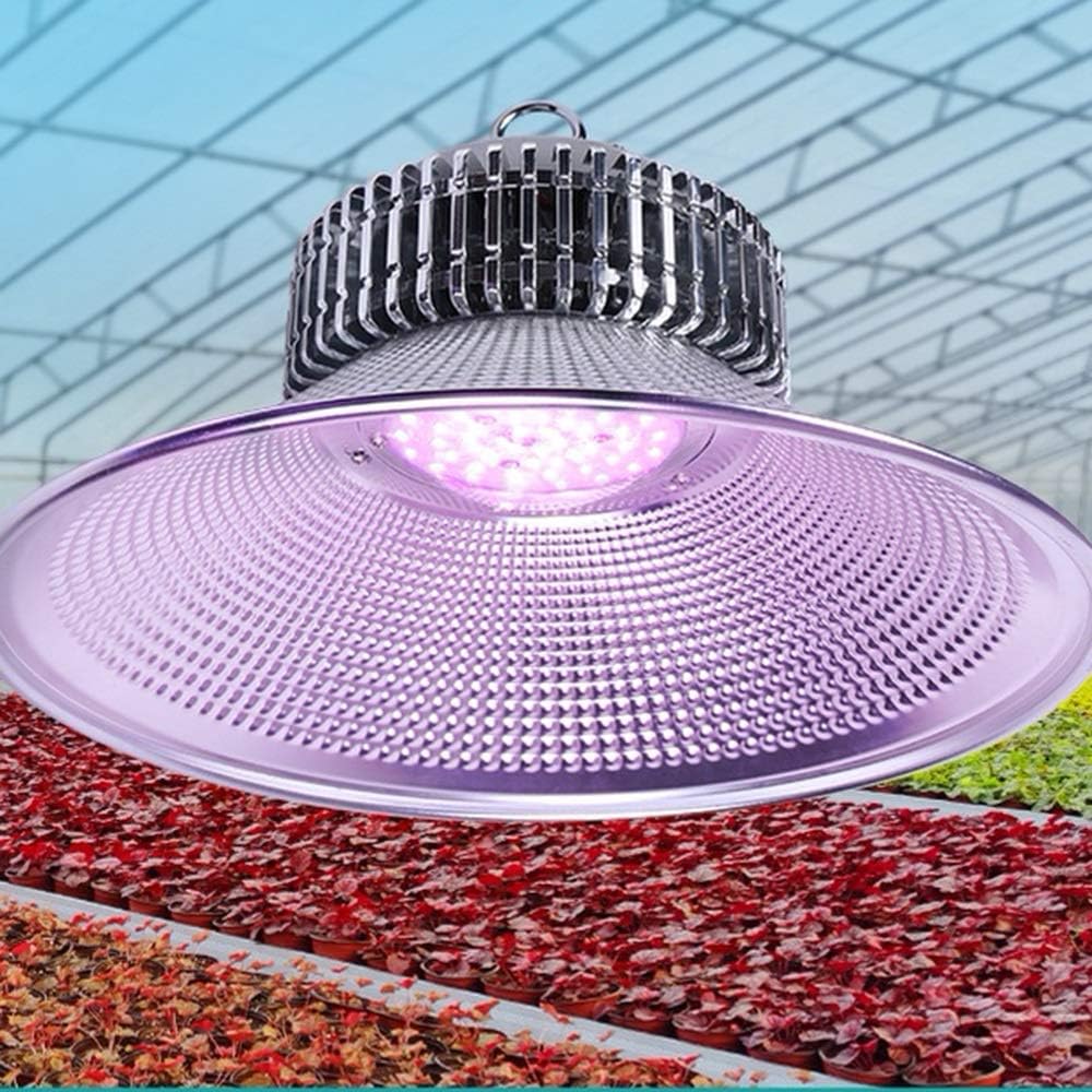 50W 100-LED Plant Grow Light Bulb Hydroponic Veg Flower Full (Colore: Astigmatismo Dimensioni: 50w)
