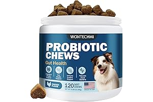Probiotics for Dogs: Relieve Itchy Ears and Improve Gut Health