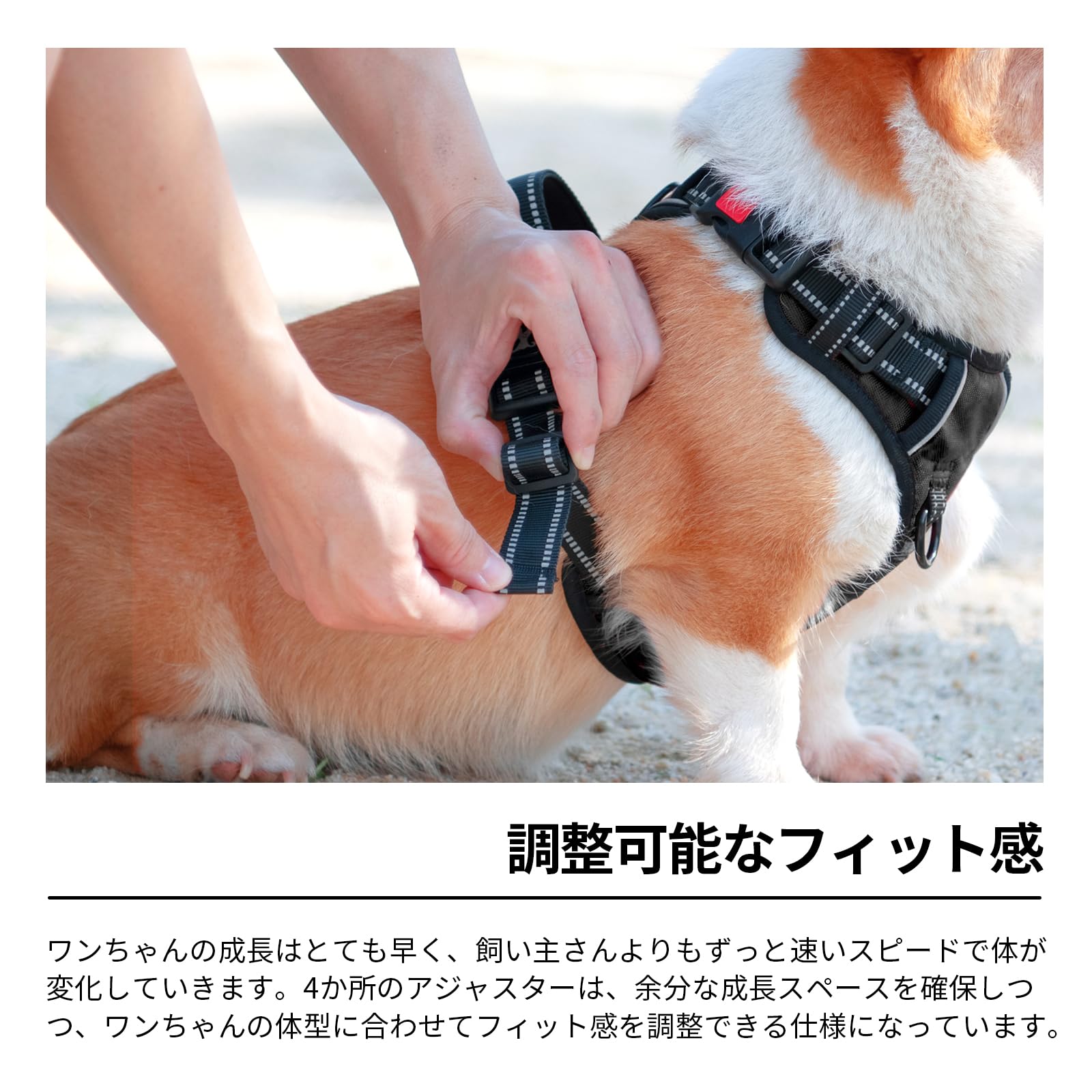 Amazon | PoyPet 犬ハーネス 首輪 胴輪 大型犬 ソフト 安全 簡単着脱