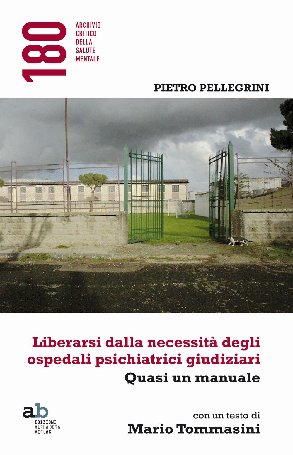 Liberarsi Dalla Necessità Degli Ospedali Psichiatrici Giudiziari. Quasi Un Manuale - 4