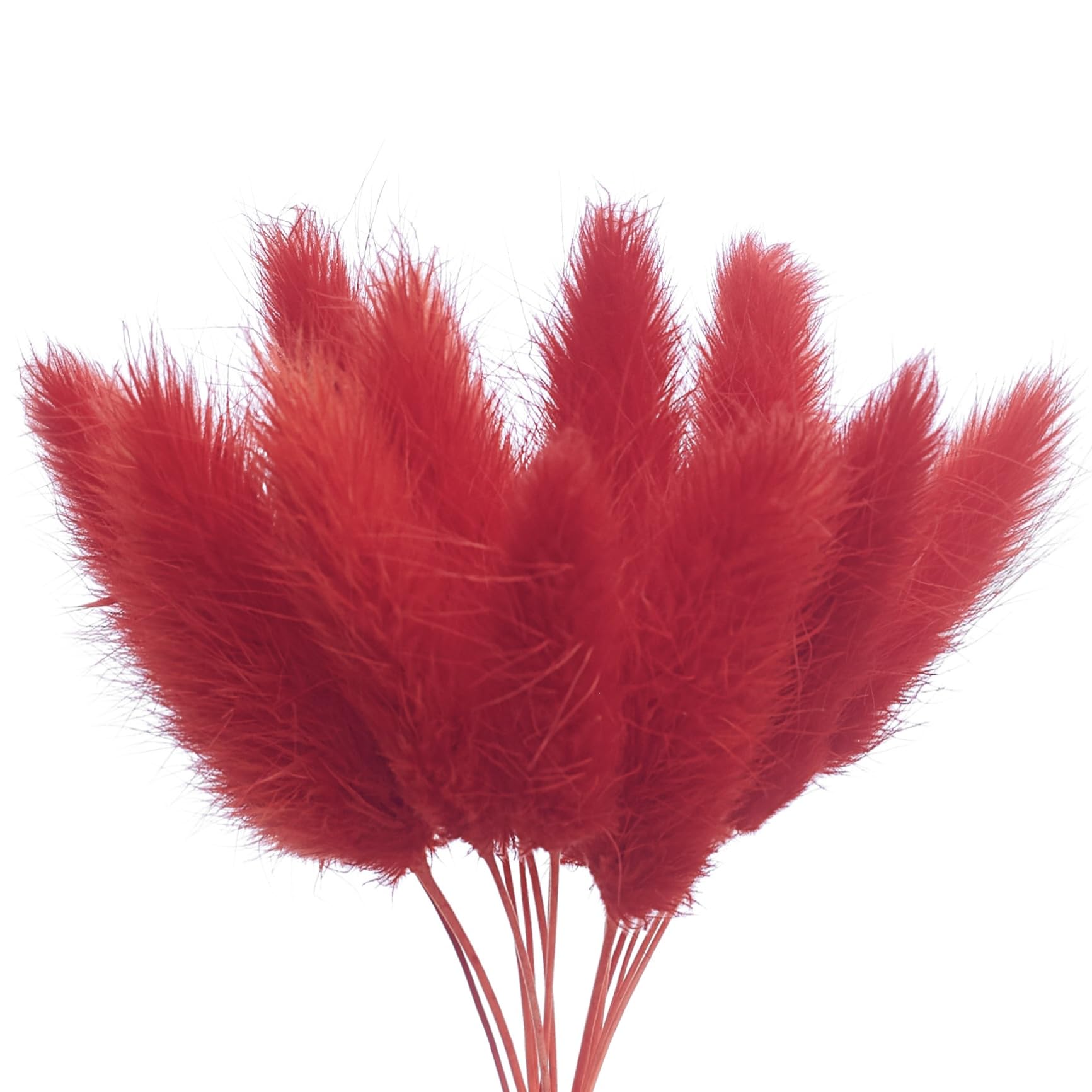 The Baked Studio - Original Dried Flower Lagarus Bunny Tails Set For Cake & Cupcake Decorating & Others Crafts (Red)