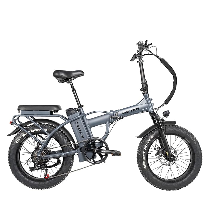Buy Rattan 750W Electric Bike for Adults Electric Folding Ebikes 20''x4