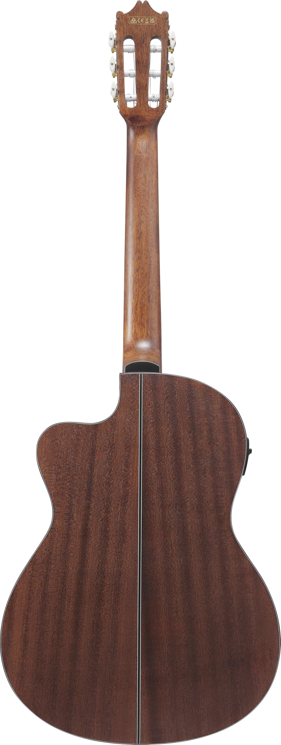 Ibanez Acoustic guitar / GA5MHTCEOPN Standard