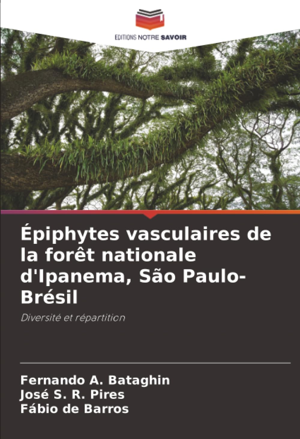 Épiphytes vasculaires de la forêt nationale d'Ipanema, São Paulo-Brésil: Diversité et répartition