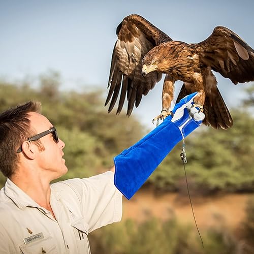 Miniatura 2 de FAVQESTV Guantes protectores antiarañazos para entrenamiento de perros, gatos, pájaros, serpientes, loros, lagartos, animales salvajes, reptiles,