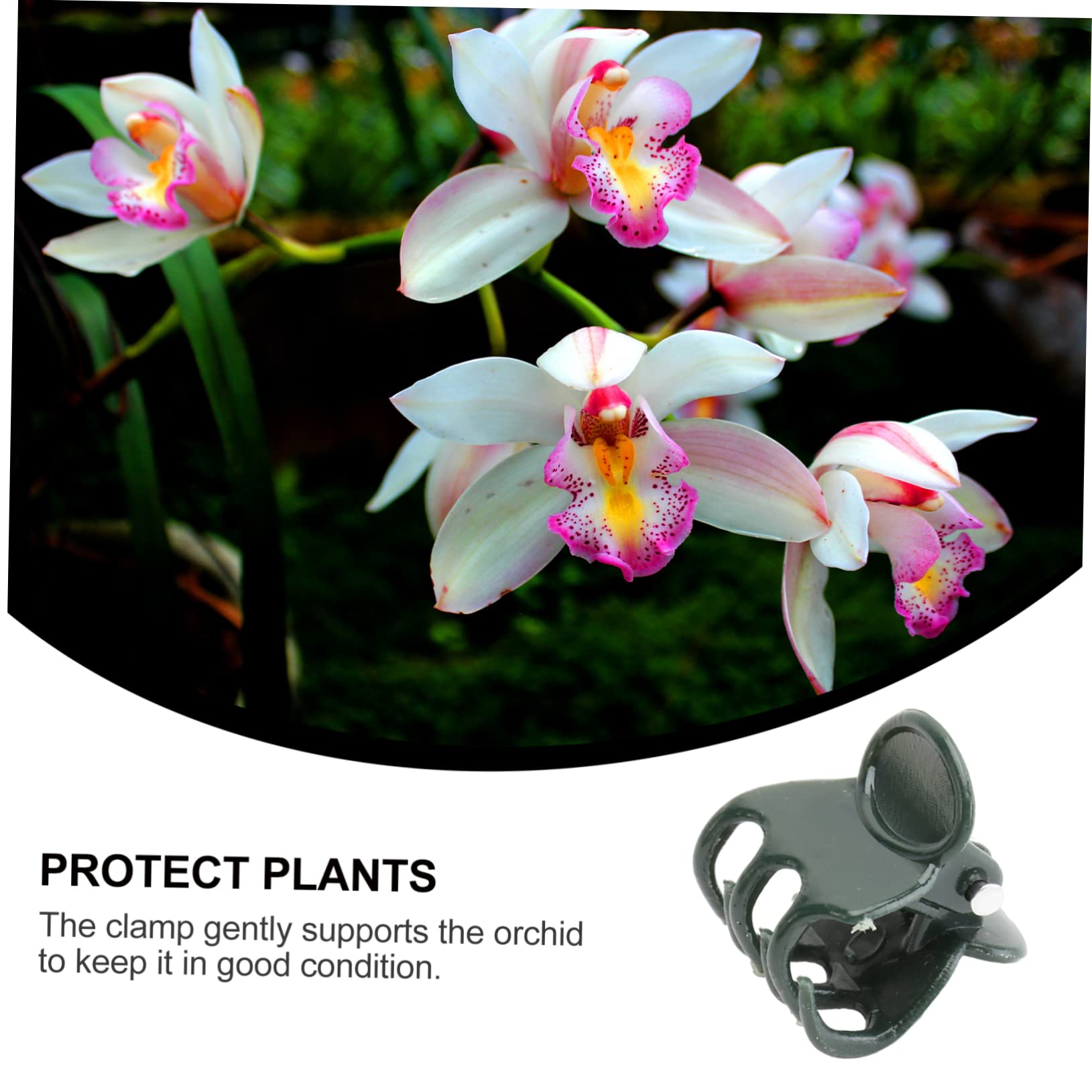 BESPORTBLE 3 Sätze Gartengeräte Orchideen-stützklammern Kunststoff-pflanzenklammern Für Orchideenstiele Gartenblumen-rebenklammern 200 Stück * 3