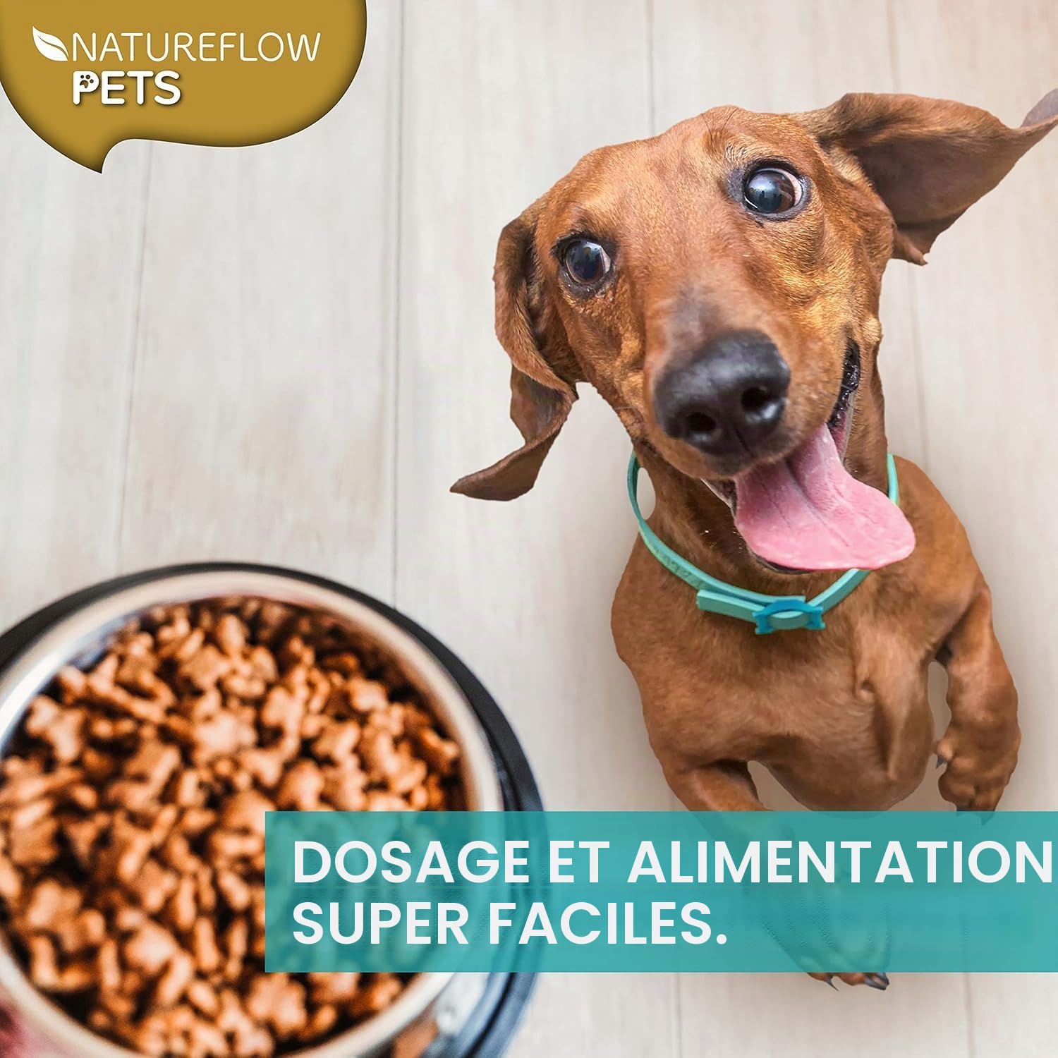 NATUREFLOW Supplément nutritionnel pour chiens à base de moule aux oreilles vertes - 250g de poudre naturelle de moule aux oreilles vertes pour chiens - Soutien de la fonction articulaire - Moule aux