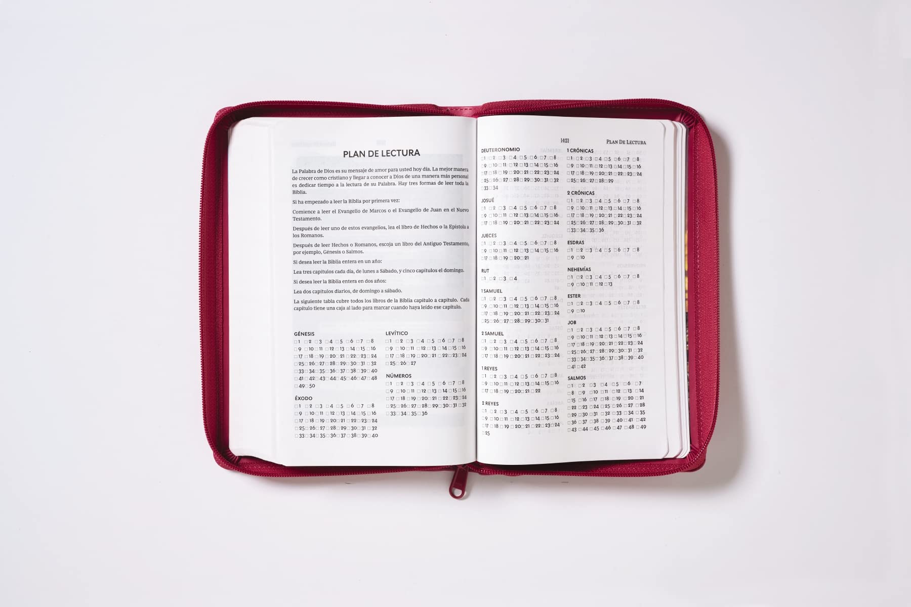 RVR60, Santa Biblia, Tierra Santa, Letra grande, Leathersoft, Fucsia, con Cierre, Palabras de Jesús en Rojo, Comfort Print (Spanish Edition)