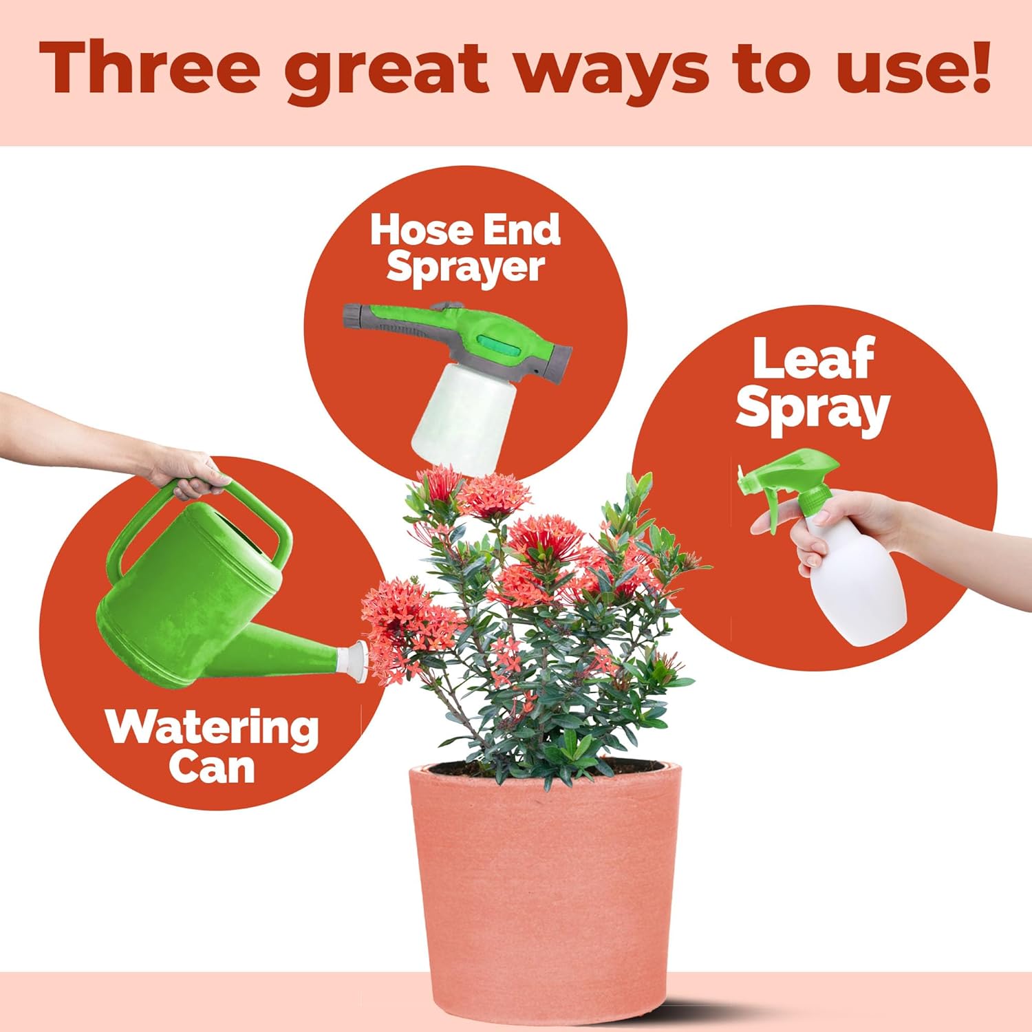 Ixora Fertilizer – Liquid Plant Food for More Blooms, Rich Green Leaves & Stronger Root Development, 32 oz