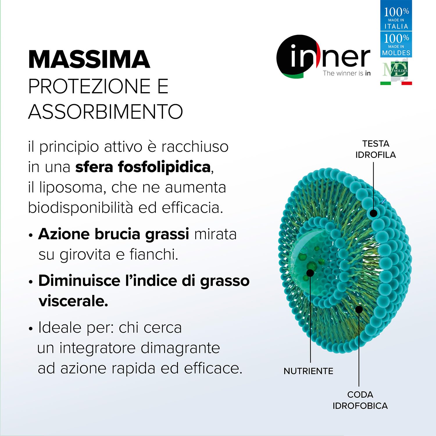 Inner Dimagrante Liposomiale – 60 capsule – Integratore con Moringa Curcuma e Curry (Slendacor®) ad Elevata Biodisponibilità – Supporto Peso e Metabolismo