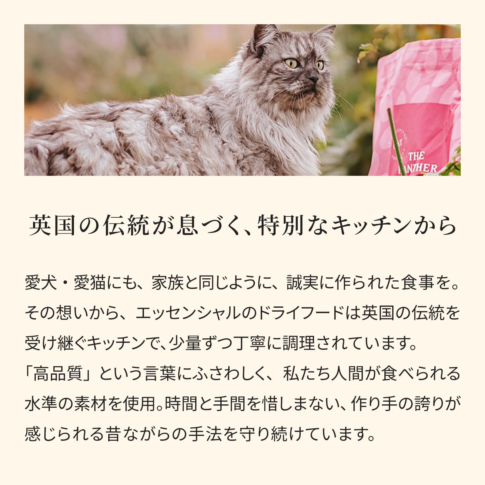 Amazon | ジャガー キャットフード 1.5kg 全猫種 全年齢 グレイン