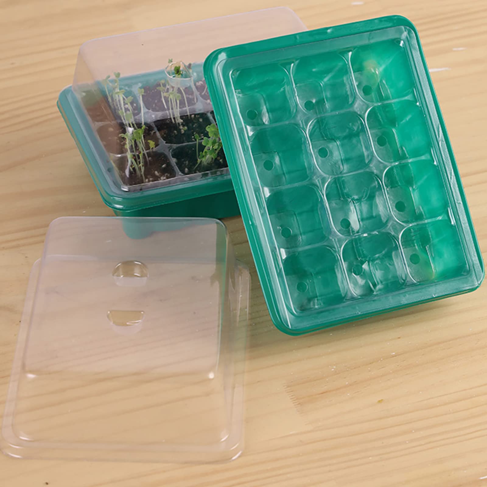 6 juegos de bandeja de semillas de invernadero, Bandeja de semillas de invernadero para interiores con orificios de ventilación para horticultura de jardín
