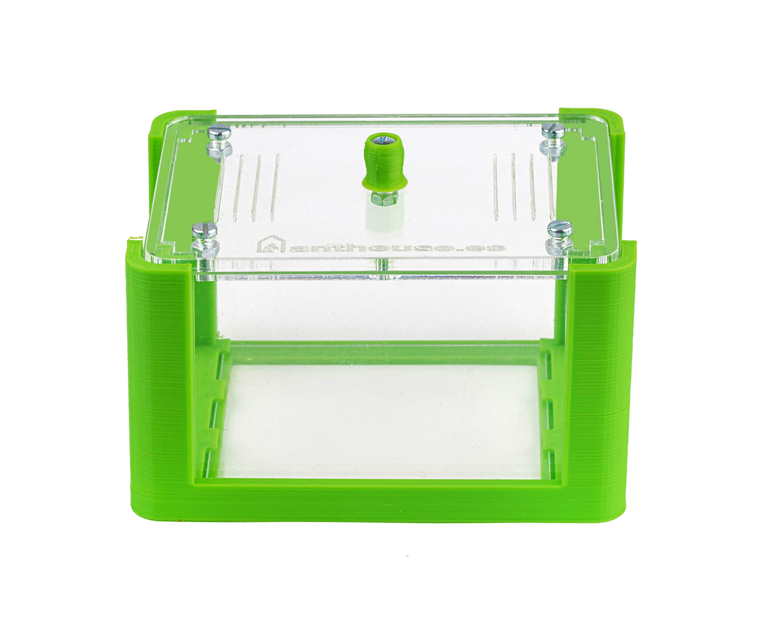 Anthouse - Hormiguero Natural de Arena Básico- Terrario 3D de Hormigas con Colonia Incluida - Kit Hormiguero Acrílico Tipo Sándwich (12x10x1 cm), Caja de Forrajeo con Tapadera (18x10x5 cm) - Verde - 3