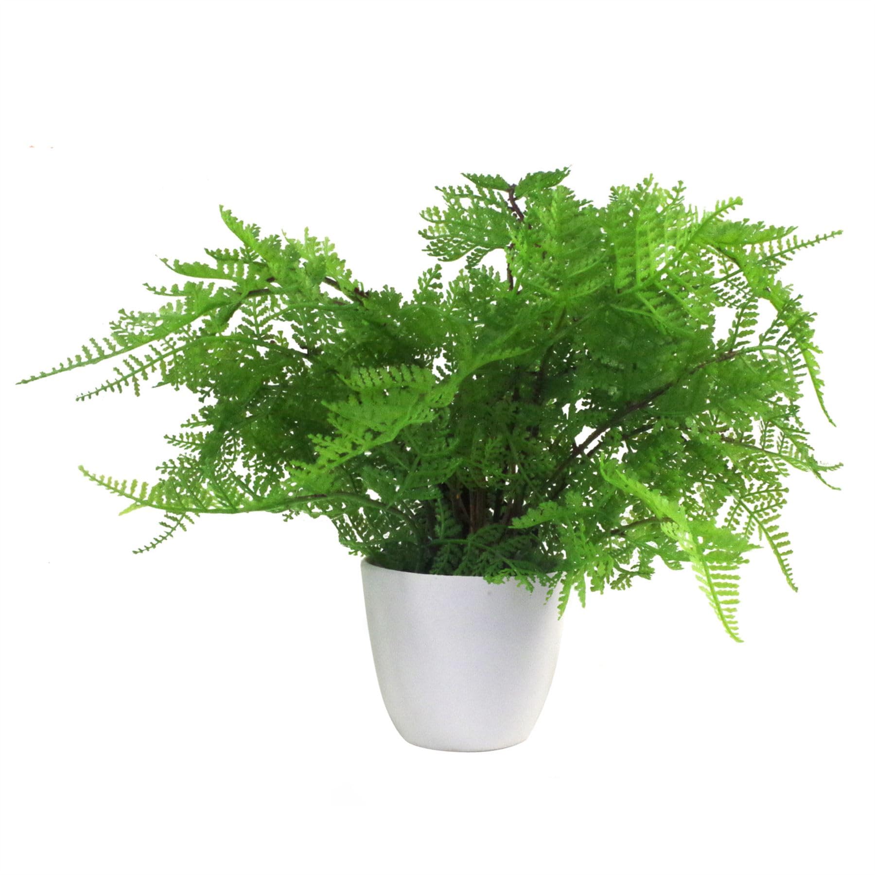 Botanik Premium Artificial Fern Grass