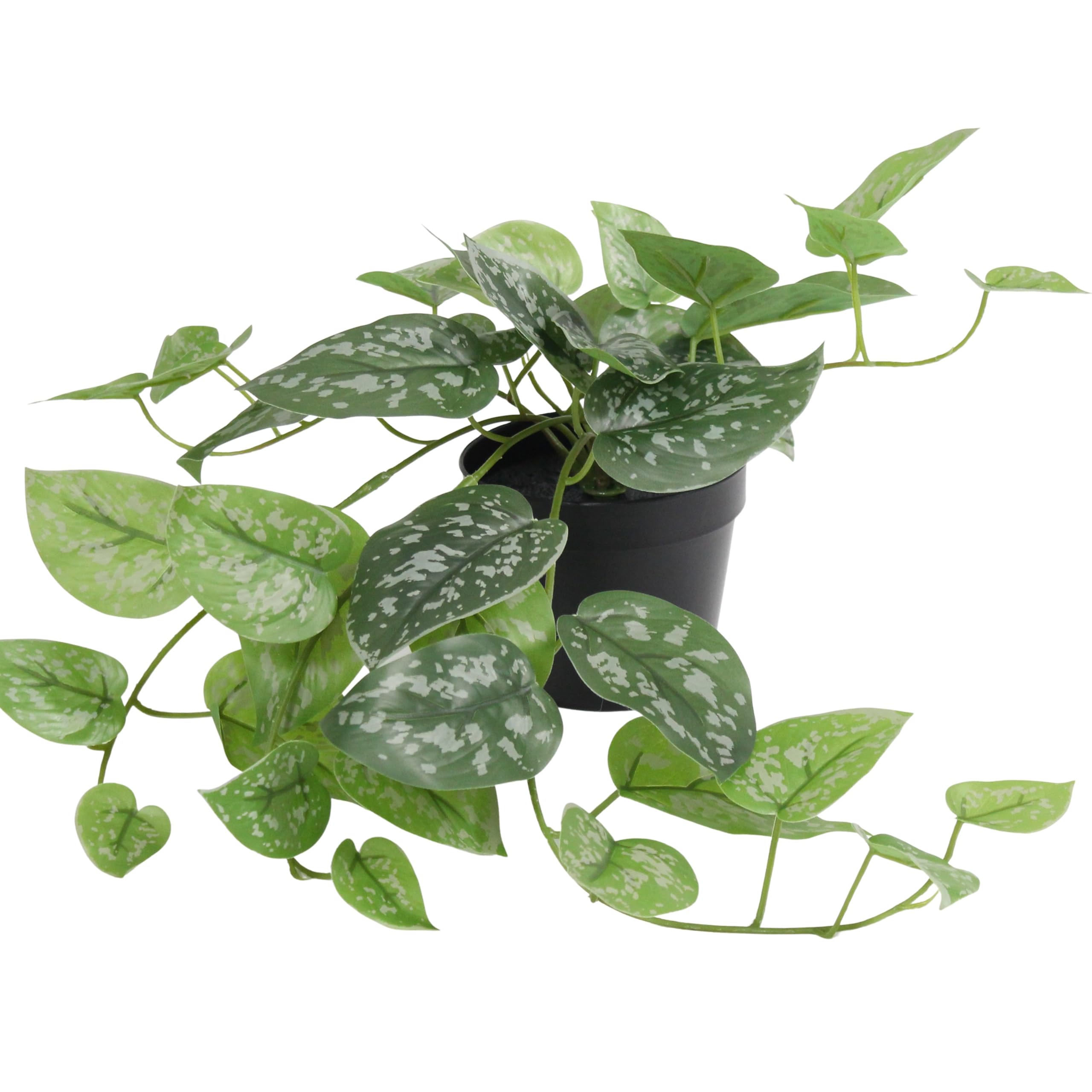 Blooming Artificial Faux Satin Pothos Plant, Fake Trailing Indoor Houseplant with Green Leaves in Black Pot