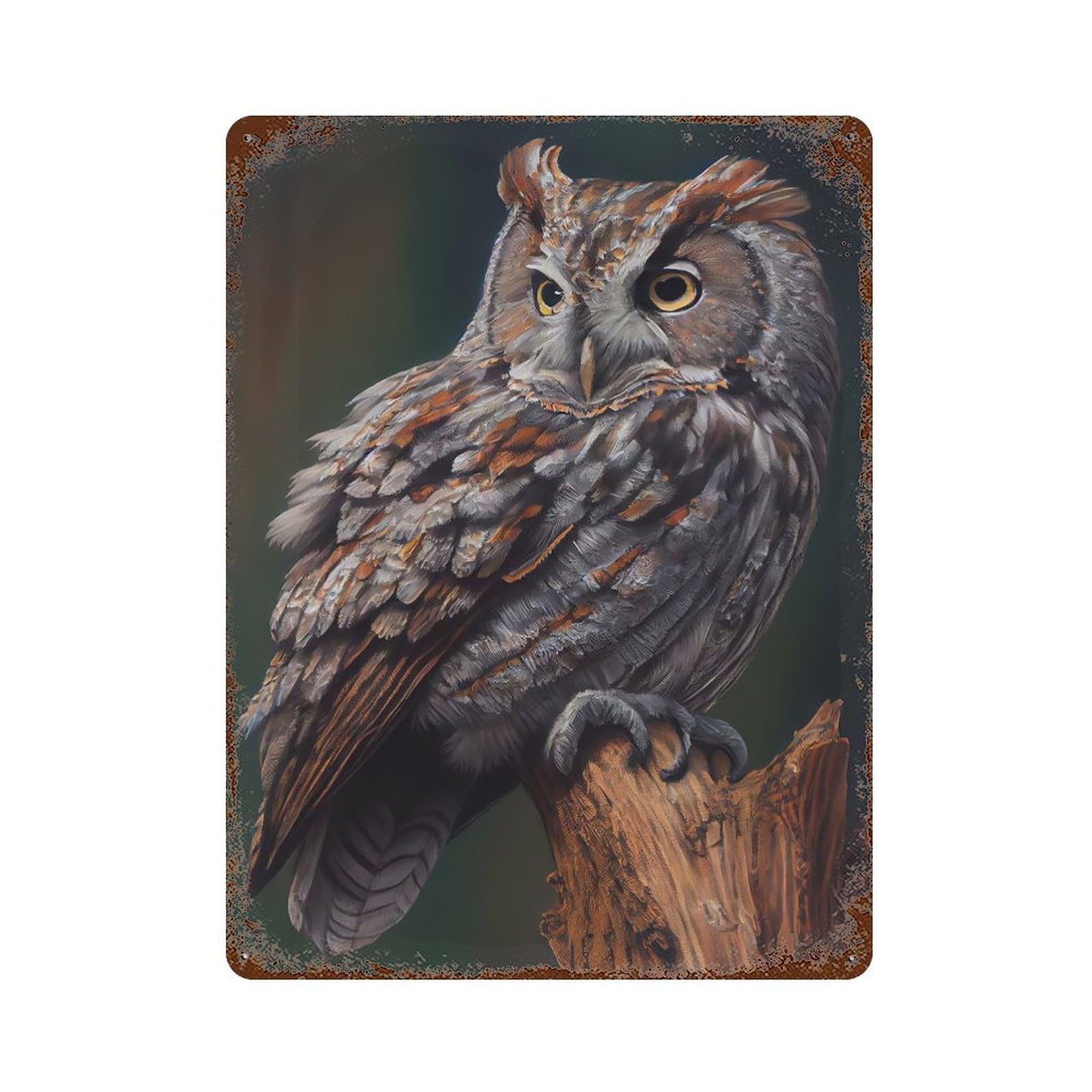 Aged Metal Wall Plaque with Eastern Screech Owl Design 15.7"x11.8", for Garage, Bar And Workshop Decor, Rustic Home Decor