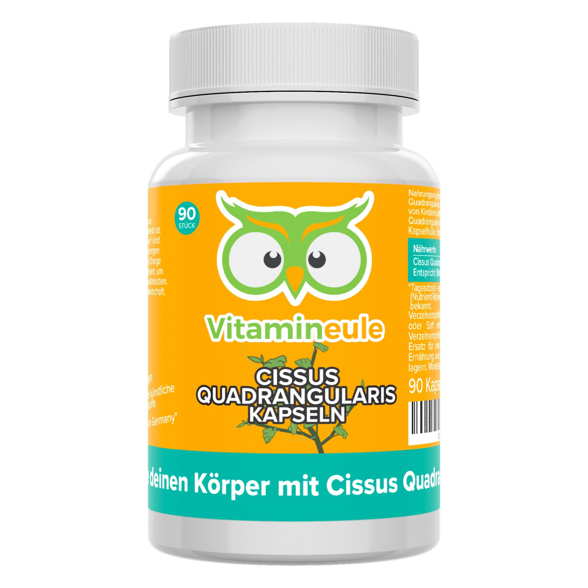Cissus Quadrangularis Kapseln - hochdosiert 4800 mg (400 mg 12:1 Extrakt) - 40% Ketosterone - bioaktiv & vegan - Produktion in Deutschland - laborgeprüft & ohne Zusatzstoffe - Vitamineule®