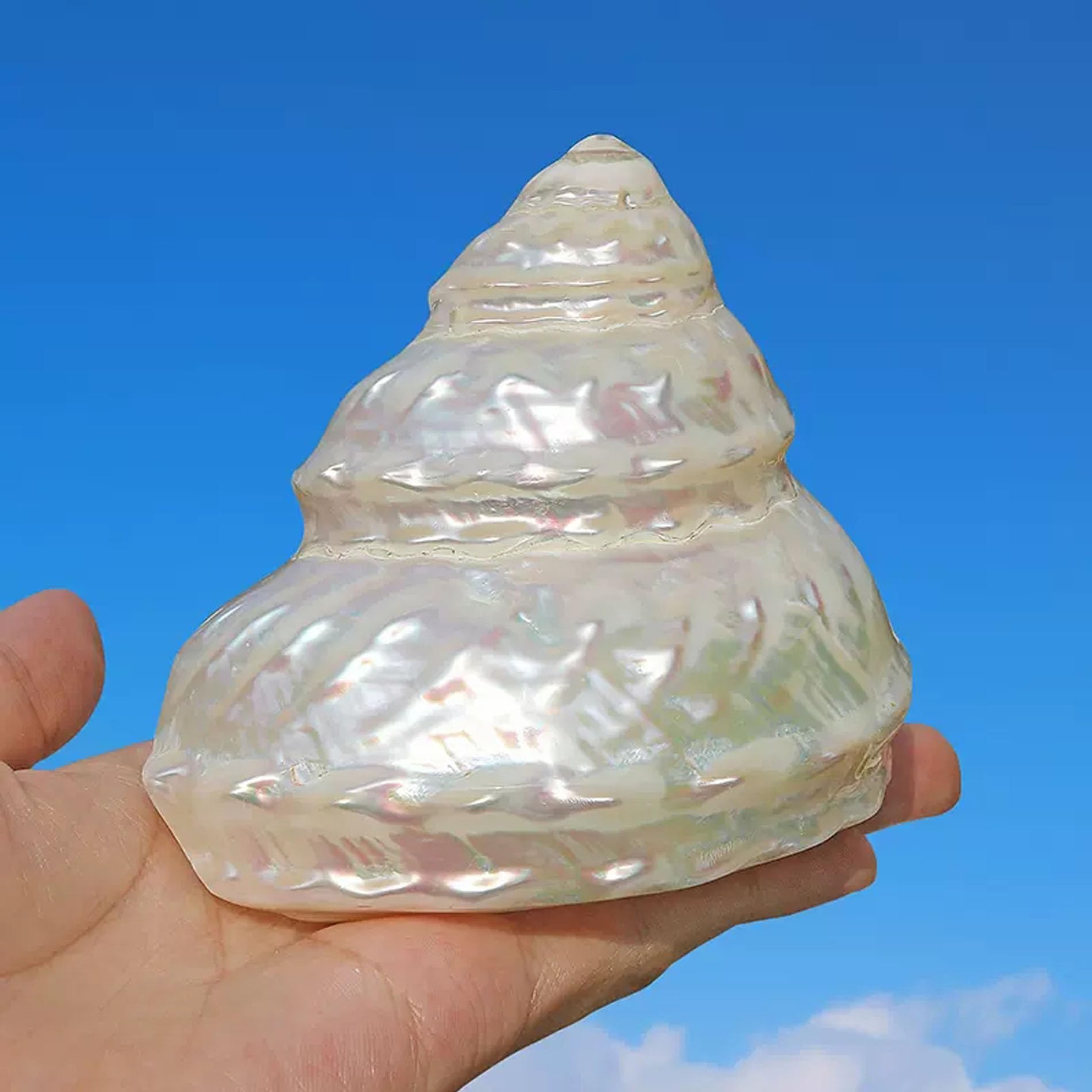 Muscheln, Muscheln, Perlenkegelschnecke, 9–11 cm, optional for Hochzeits-, Strand- und Partydekoration(10~11cm)