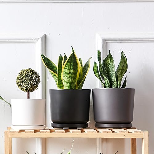 Miniatura 5 de Maceta para plantas de 7.5 pulgadas, macetas de interior de cerámica blanca con agujeros de drenaje y platillo (planta no incrustada)