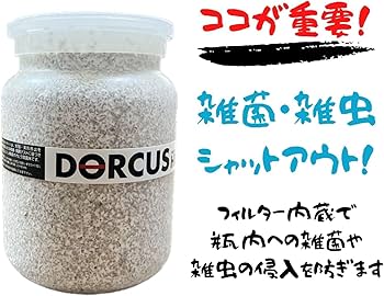 Amazon | 【3個セット】DORCUS 菌糸ビン オオヒラ茸菌 800cc