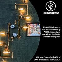 Vista 4 de LUXON Edison Bombillas incandescentes de estilo vintage antiguo, regulables ámbar cálido, base E26 de 60 W para aplique de pared, paquete de 2