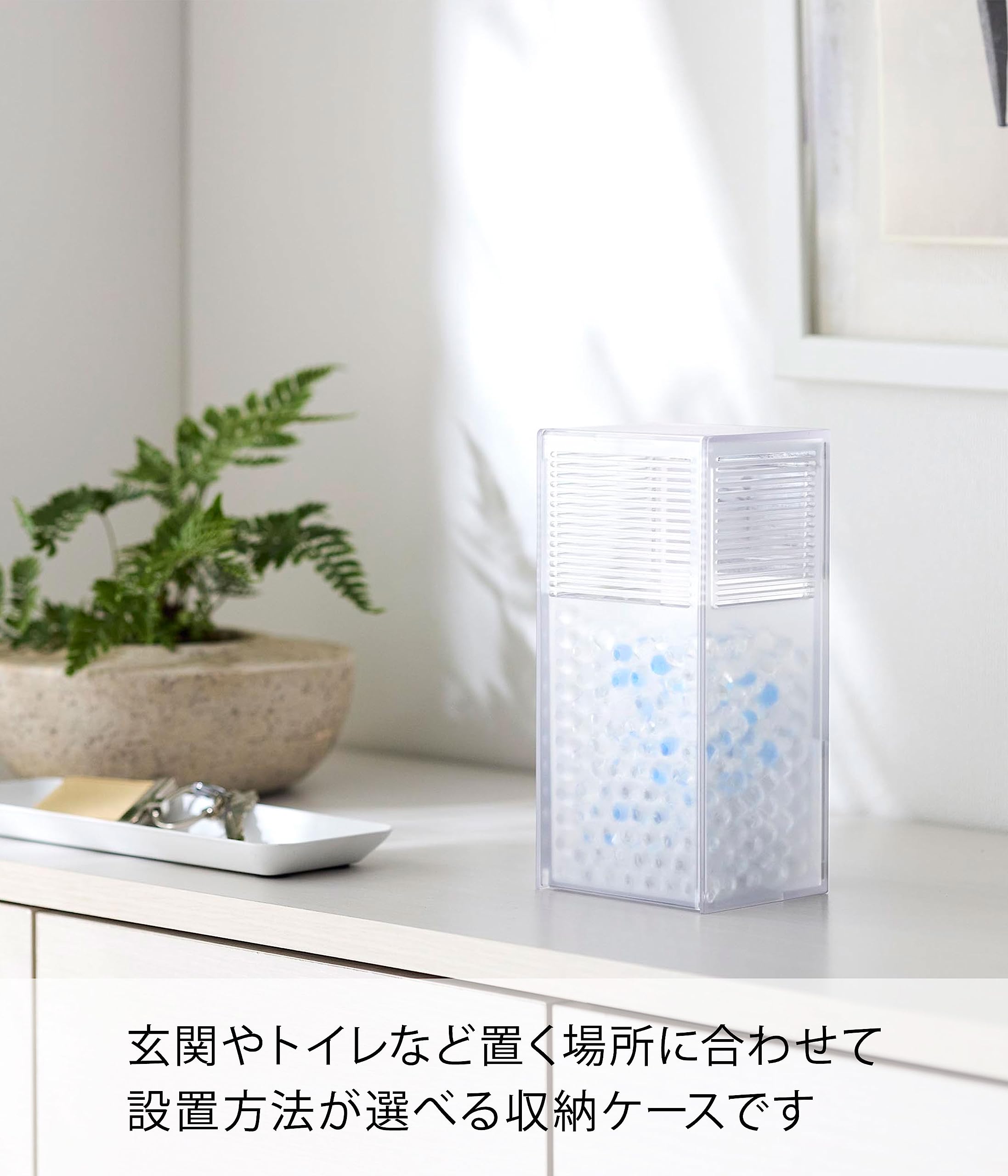 Amazon.co.jp: 山崎実業(Yamazaki) ツーウェイ 消臭ビーズケース