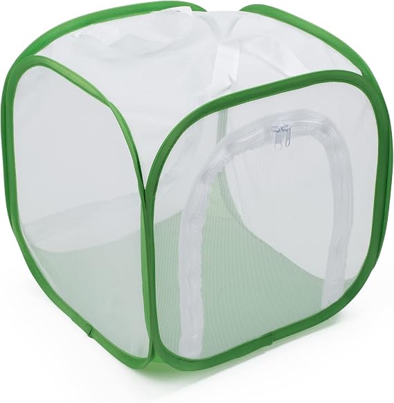 Two Doors Monarch Butterfly Habitat, Insect Mesh Cage, Caterpillar Enclosure Terrarium Pop-up (12 X 12 X 12 Inches)