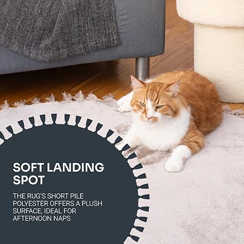 Miniatura 4 de Dekorist Alfombra esponjosa lavable a máquina, alfombra de dormitorio, alfombras de área suaves y acogedoras, alfombras para dormitorio, alfombras