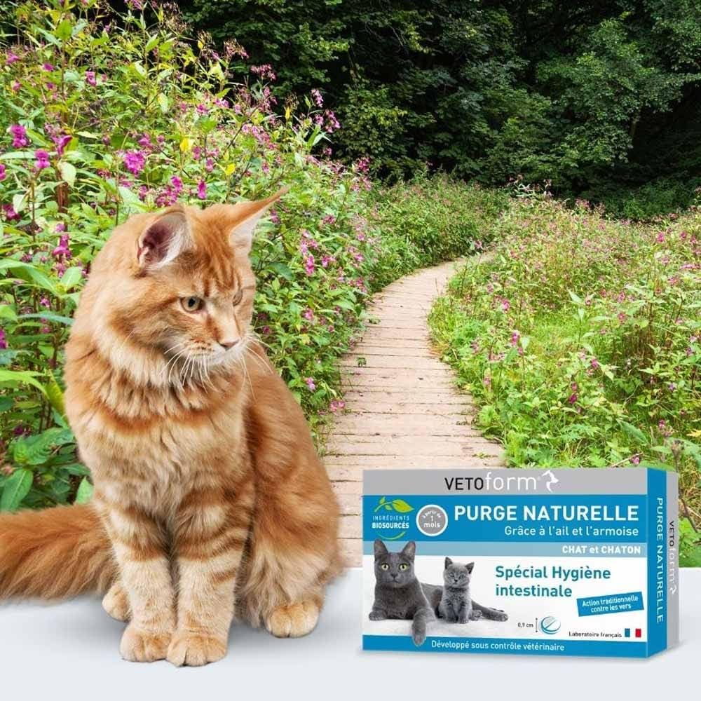 Vetoform Purge Naturelle Chat et Chaton 20 Comprimés