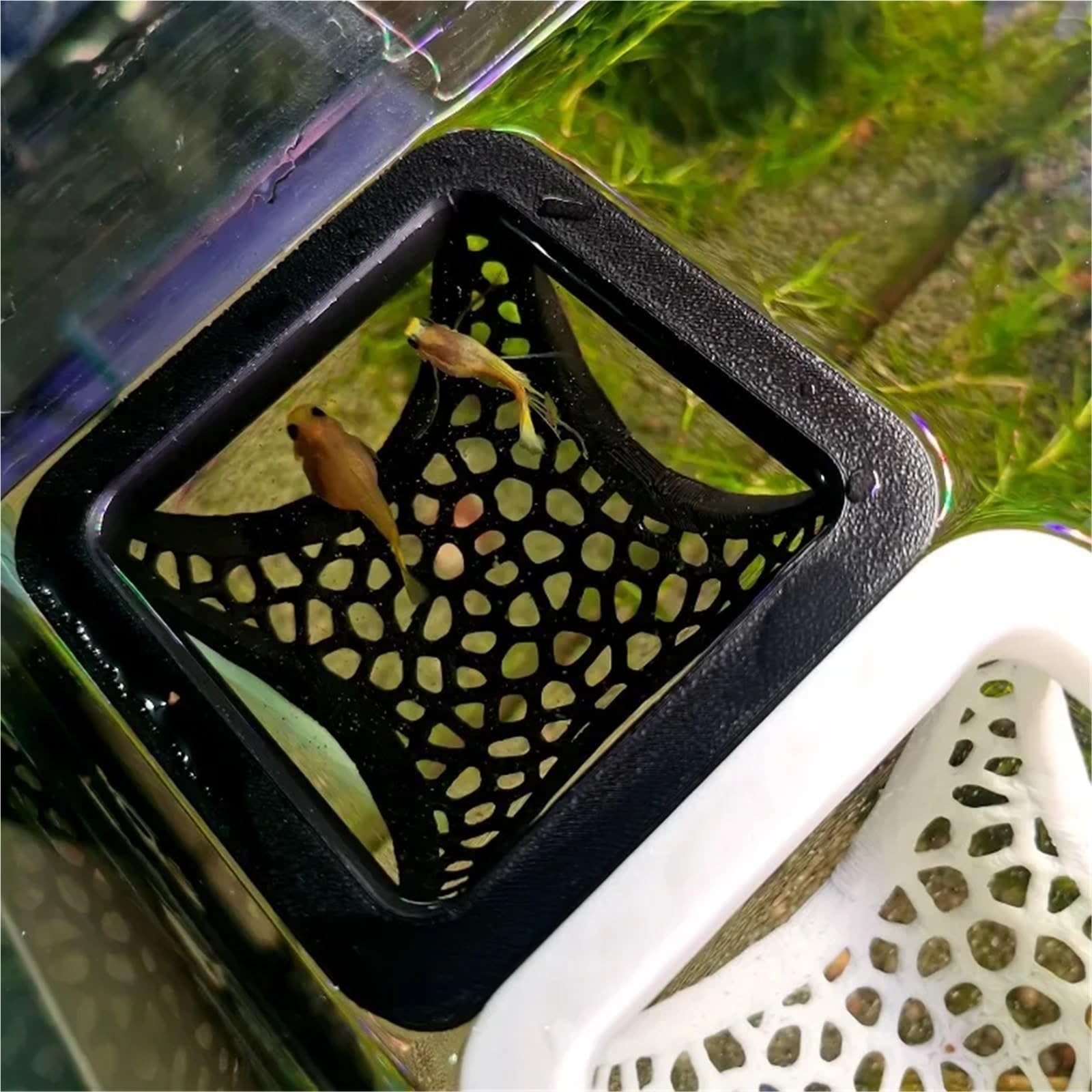 Lot de 2 cachettes flottantes 3 en 1 pour aquarium, grotte pour poissons, crevettes, hamac, anneau d'alimentation et lieu de repos (blanc)